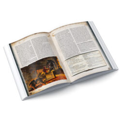 DSA5 - Aventurisches Animatorium (Hardcover) – Bild 4