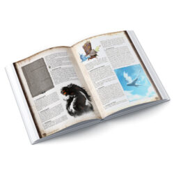 DSA5 - Brandans Pakt 1: Stelen aus Kupfer – Bild 3