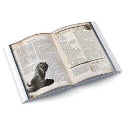 DSA5 - Aventurisches Transmutarium (Hardcover) – Bild 4