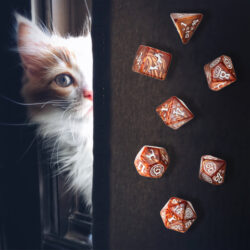 CATS Dice Set: Muffin – Bild 3