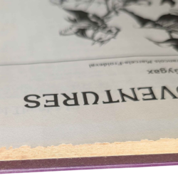 Official Advanced Dungeons & Dragons - Oriental Adventures [Rarität] – Bild 5